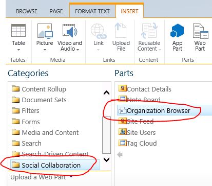 org chart in SharePoint