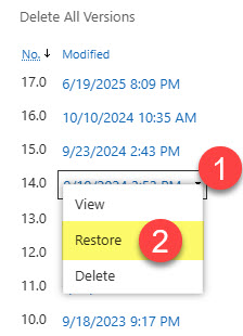 version history benefits