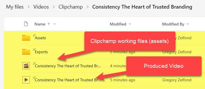 Example of a Clipchamp Video Project Folder with Clipchamp assets and video file