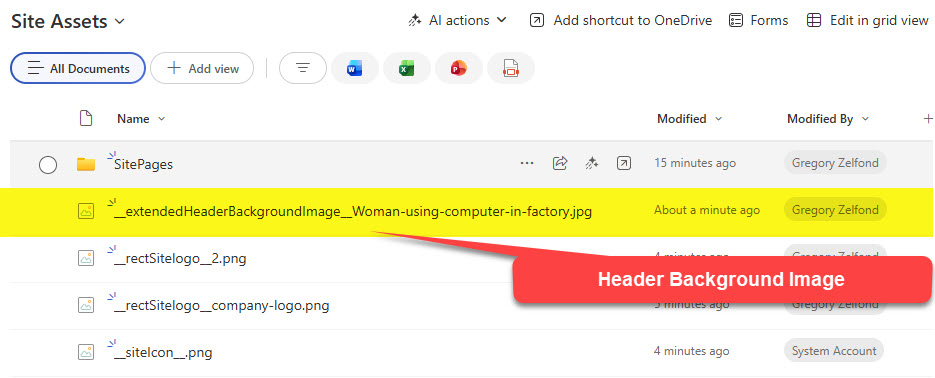 Whatissiteassetslibrarysharepoint6