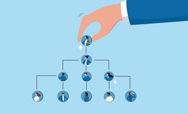 info-graphic organization structure